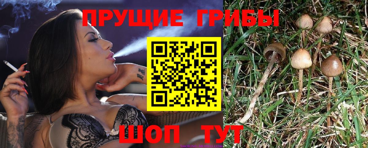 Галлюциногенные грибы мухоморы Канаш